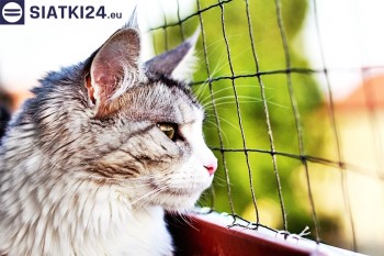 Siatki Tczew - Siatka na balkony dla kota i zabezpieczenie dzieci dla terenów Tczewa