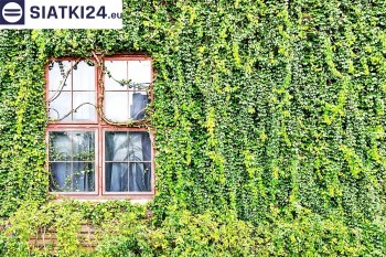 Siatki Tczew - Siatka z dużym oczkiem - wsparcie dla roślin pnących na altance, domu i garażu dla terenów Tczewa