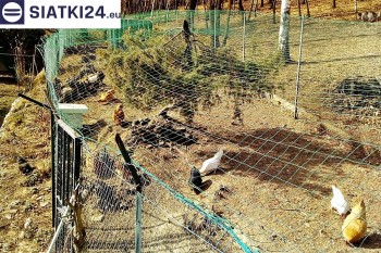 Siatki Tczew - Siatka na woliery - zabezpieczenia ptaków w hodowli dla terenów Tczewa